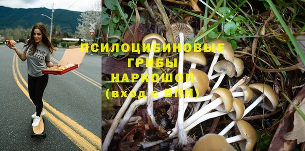 стафф Абдулино